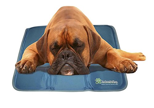 cooling pads for dogs 9 best cooling beds for your rover cooling pads for dogs 9 best cooling beds for your rover