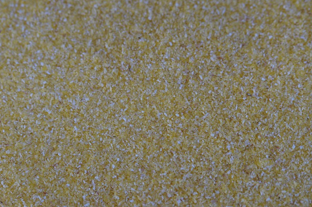 Can My Dog Eat Cornmeal The Dog People By Rover Com Can My Dog Eat Cornmeal The Dog People By Rover Com