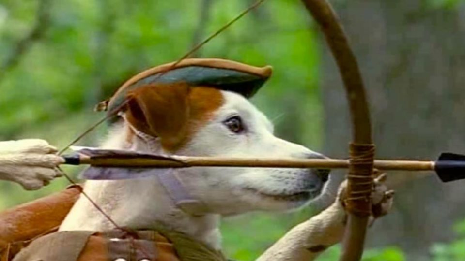 Celebrity dog Wishbone starring in Rambo.