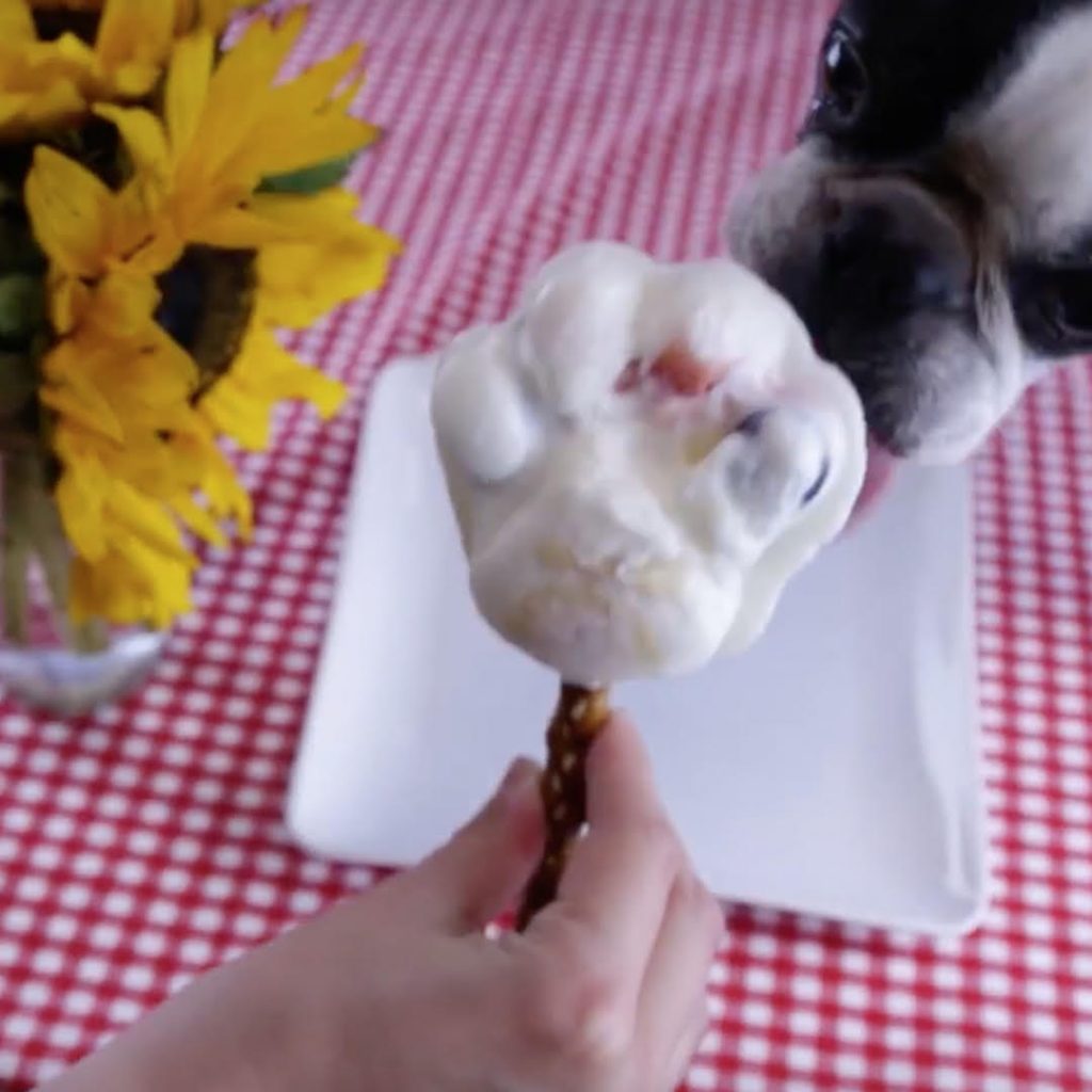 frozen yogurt popsicles for dogs
