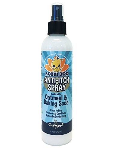 Best Natural Anti Itch For Dogs Best Natural Anti Itch For Dogs