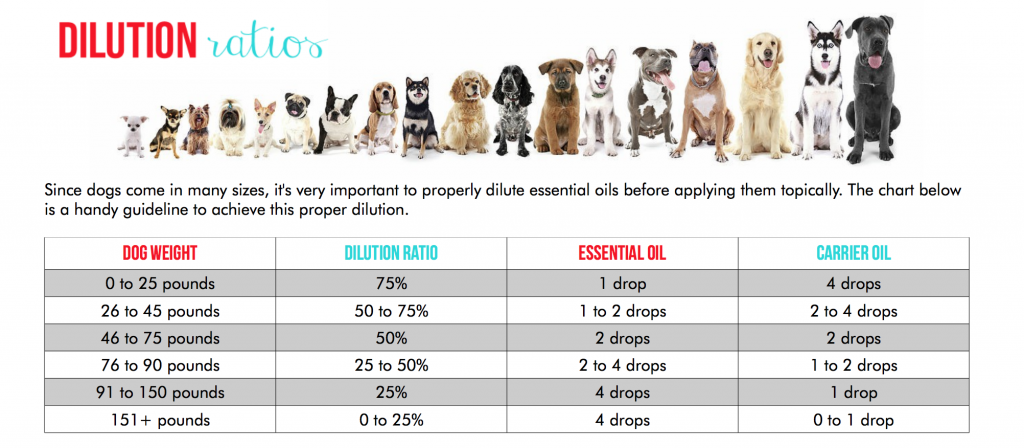 Dog Toxicity Chart