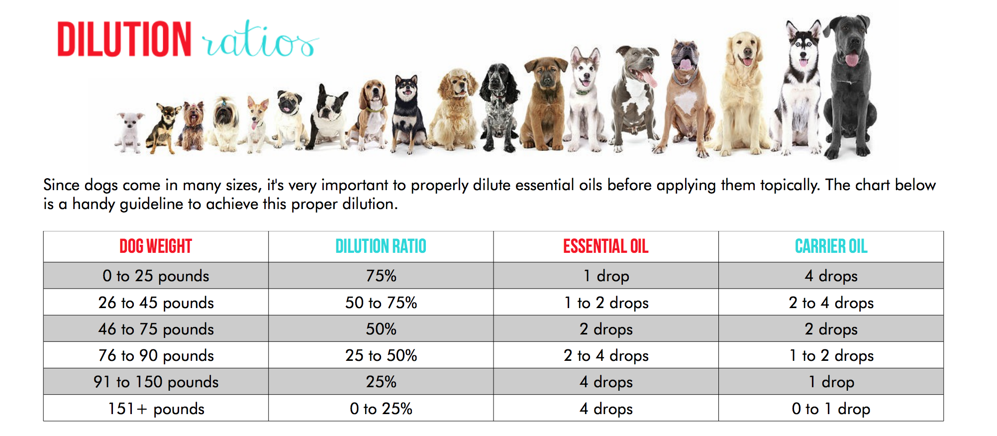 Trustworthy Dog Food Trustworthy Dog Food