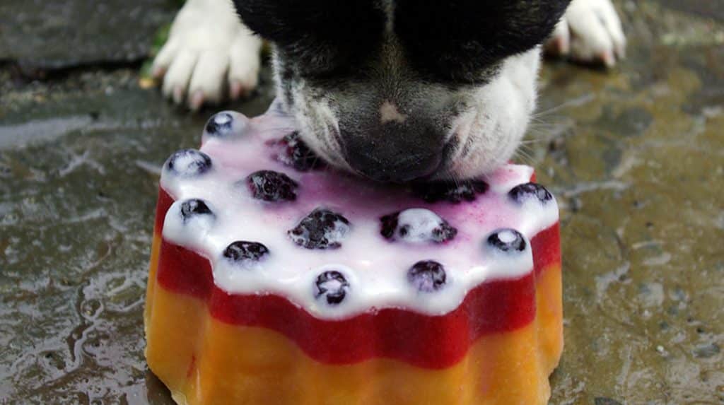This Layered Ice Lick Is Like a Rocket Pop for Your Dog [Recipe]