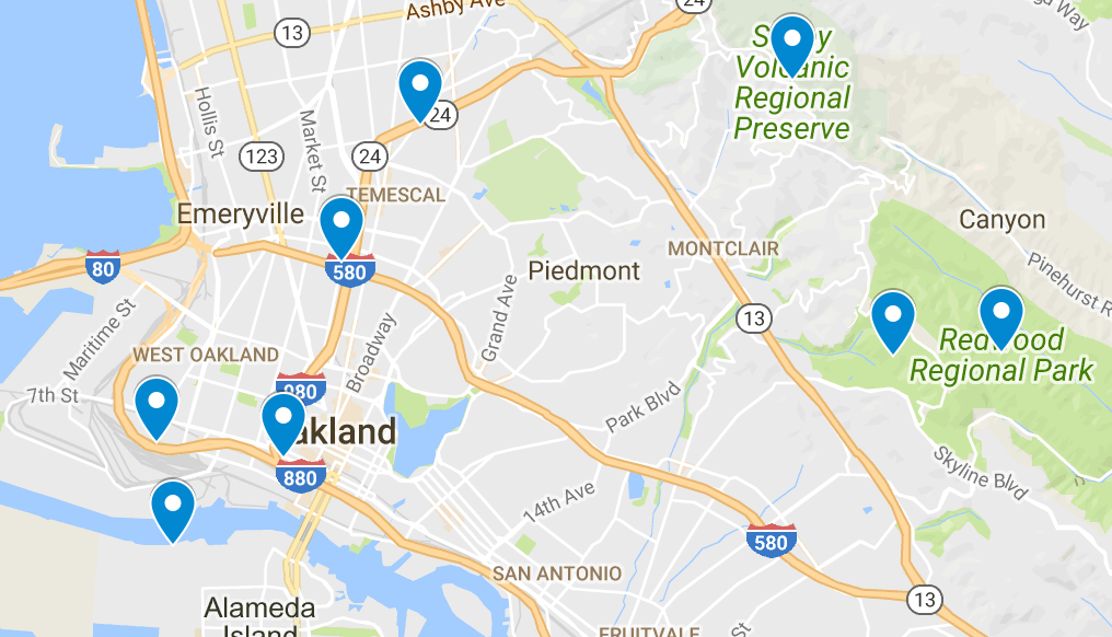 Top 8 Dog Parks in Oakland, CA The Dog People by