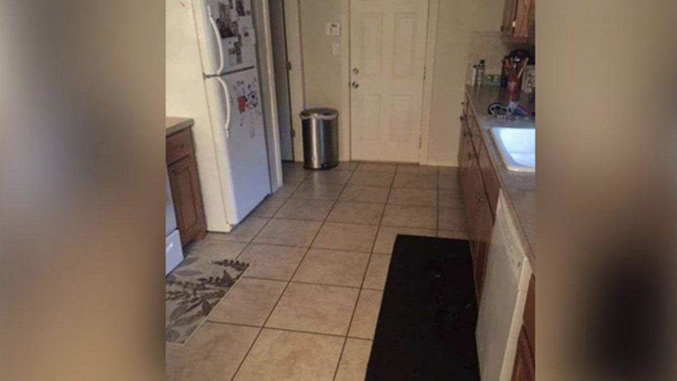 Can You Spot The Dog Hidden In This Kitchen Can You Spot The Dog Hidden In This Kitchen