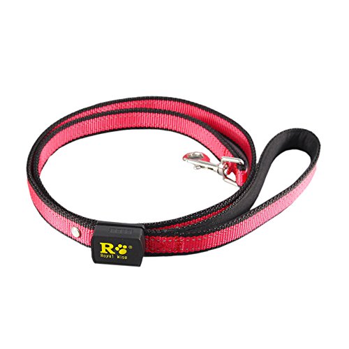 0Dawn's Black Dog Pink w/ leash in Very Good Condition 