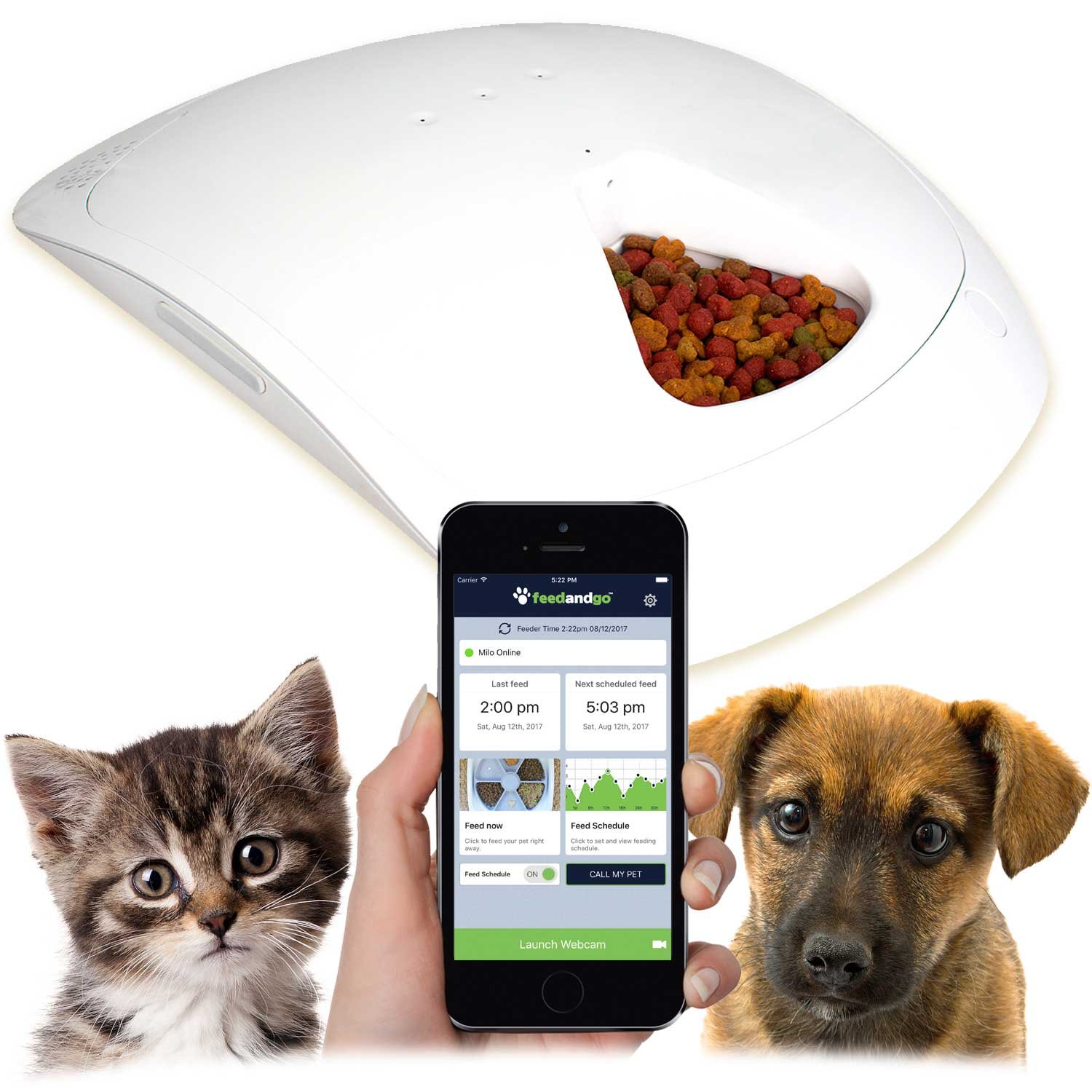 automatic dog treat dispenser