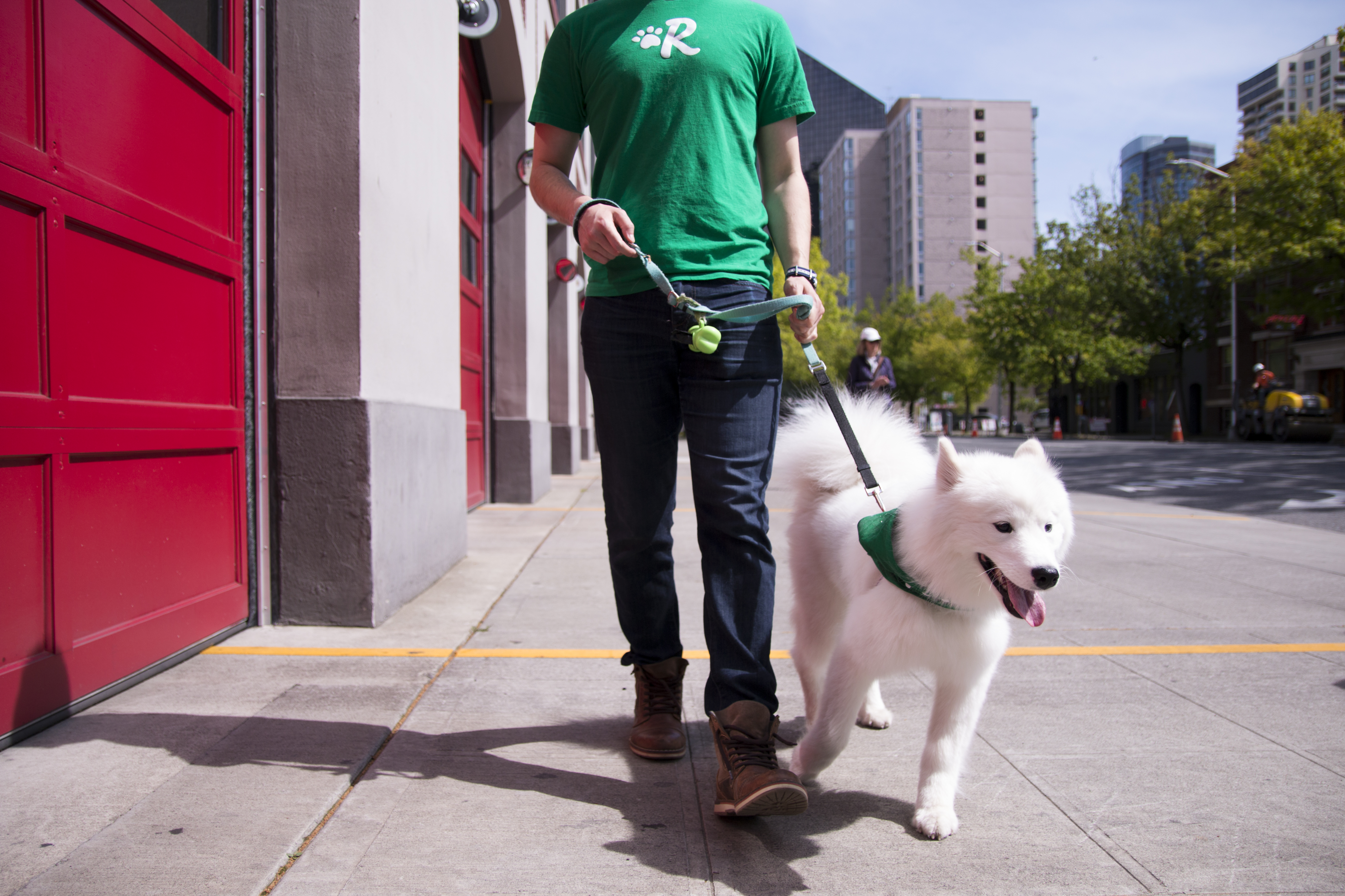 how to stop barking when left alone mind reddit 100 how to stop barking when left alone true how to stop barking when left alone mind reddit 100 how to stop barking when left alone true