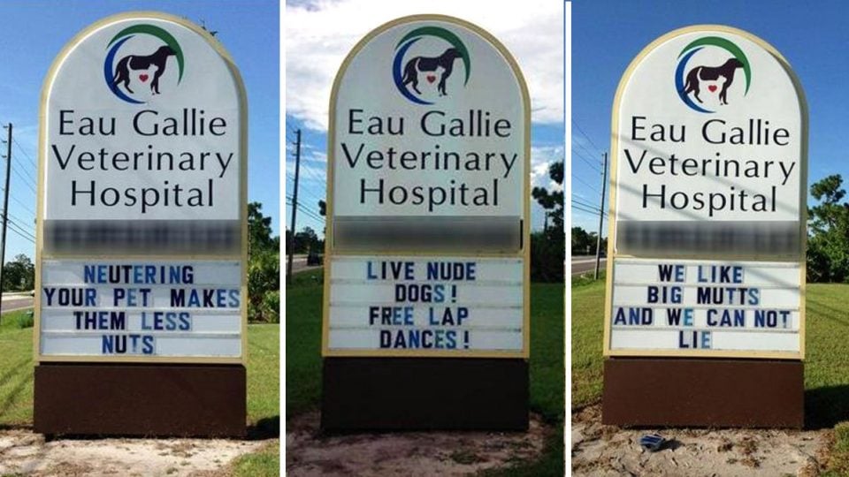 14 Hilarious Vet Signs That Only Dog People Will Truly Appreciate | The Dog  People by 