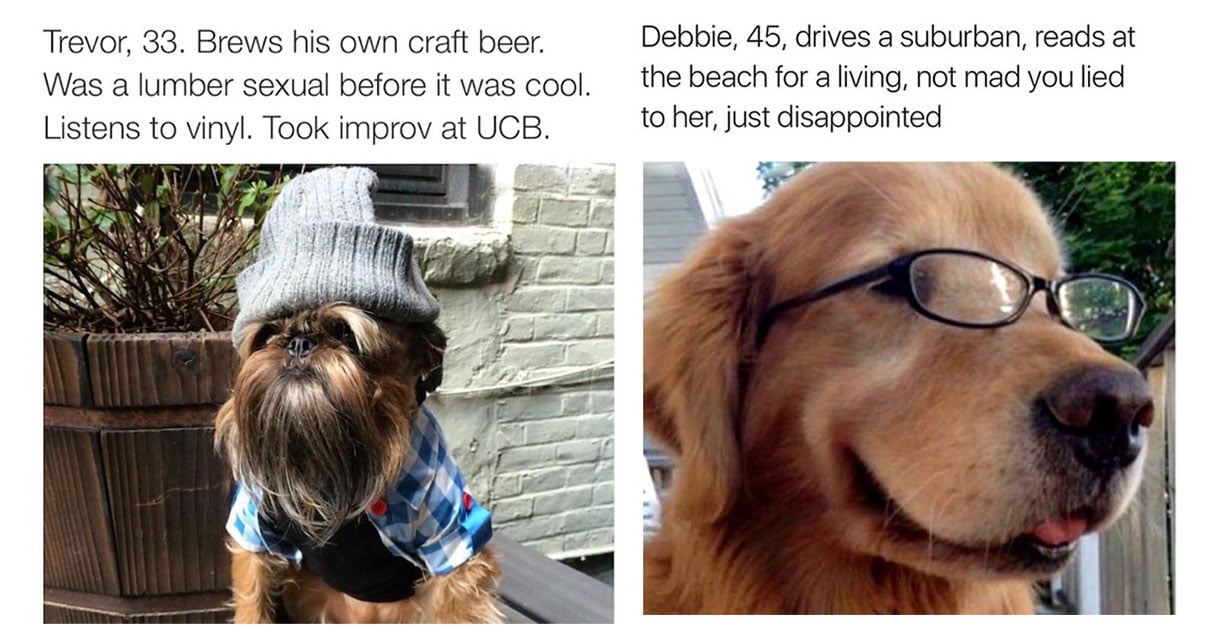 These Excellent Dog Bios Are So On-Point You Can't Help but Laugh | The Dog  People by 