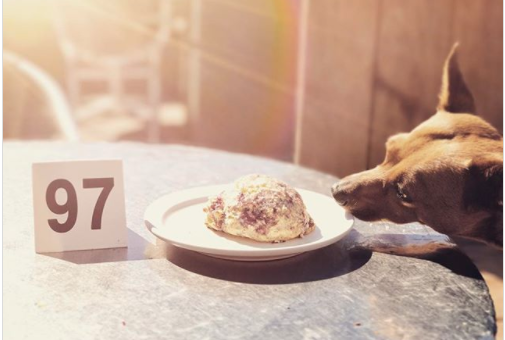 9 Best Dog Friendly Restaurants In Asheville Nc The People By Top 10 Dog Friendly Restaurants In Santa Cruz