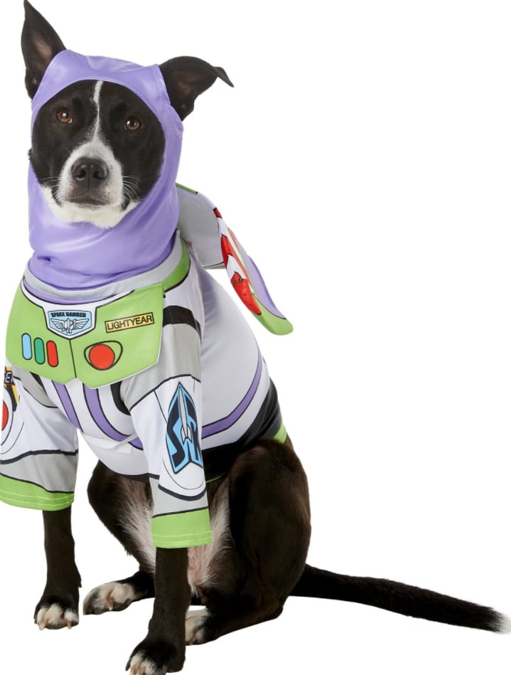 dog as Buzz Lightyear in matching dog and owner costume set