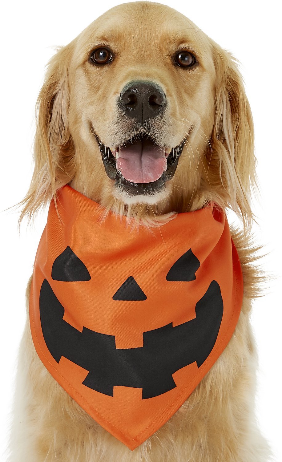 Easy Dog Costumes | 15 Simple Costumes for Dogs