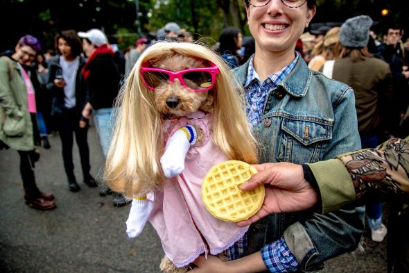dog dressed in Eleven costume from "Stranger Things"