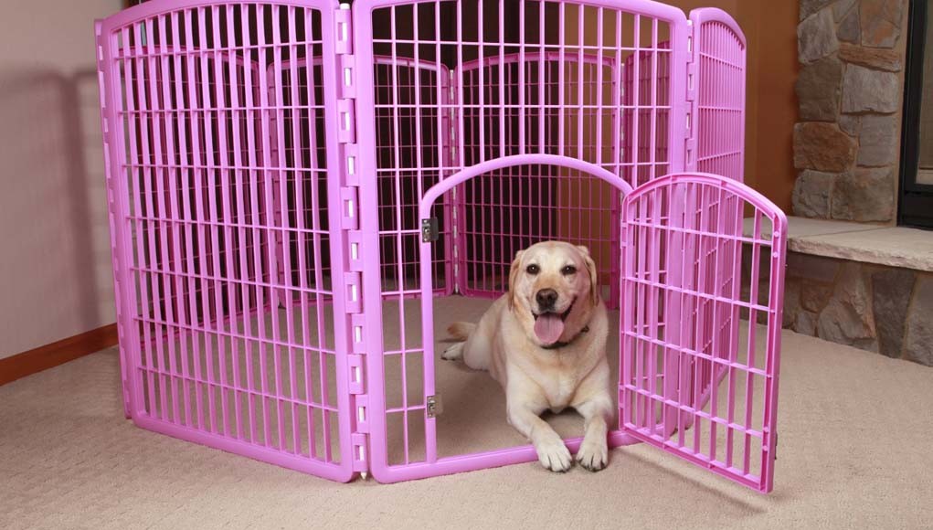 best dog playpen indoor