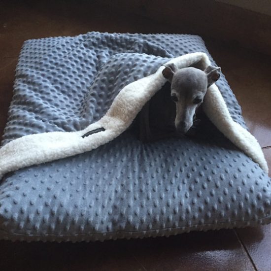 7 CustomMade Dog Beds Crafted to Pamper Your Pooch The Dog People by
