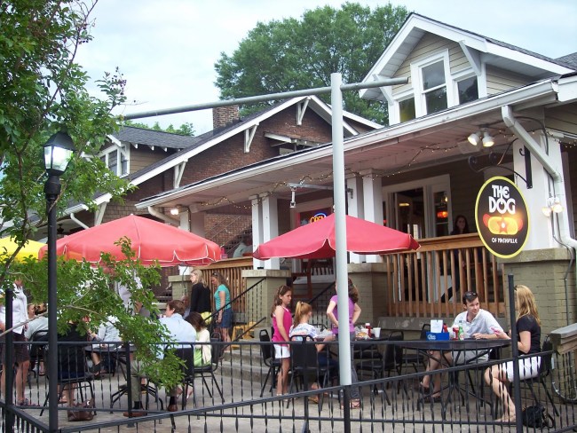 puppy nashville top 9 friendly restaurants in nashville rover puppy nashville top 9 friendly restaurants in nashville rover