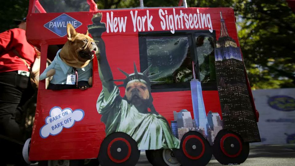 tompkins square park parade 13 costumes from nyc s tompkins square parade 2017 rover tompkins square park parade 13 costumes from nyc s tompkins square parade 2017 rover