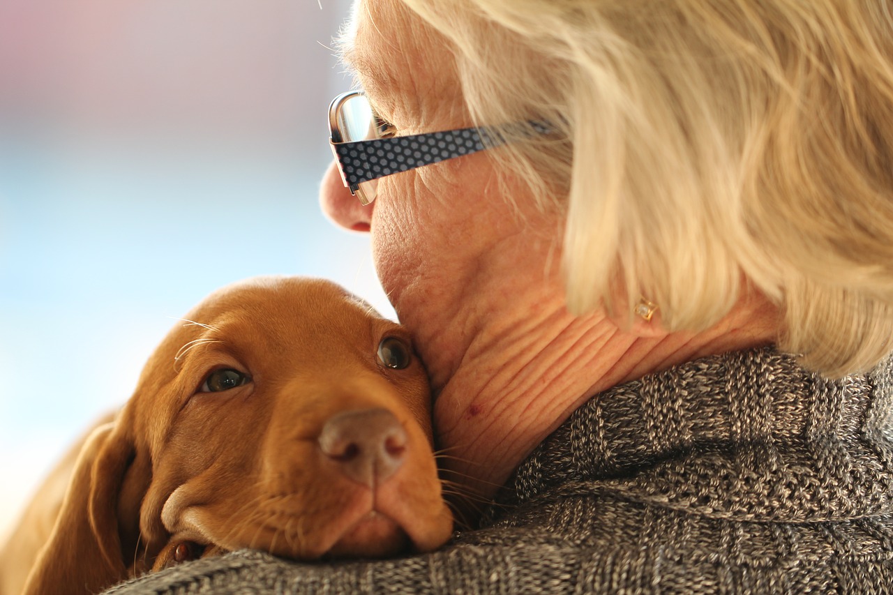 Service Dogs and Elder Care How Canine Caregivers Are Making a Difference in the Lives of