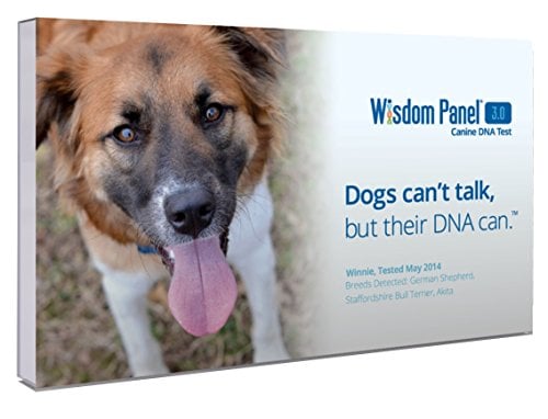 box of Wisdom Panel dog DNA test kit for dog dad gift