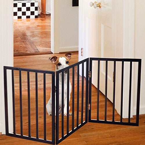 Dog sitting in hallway behind gate