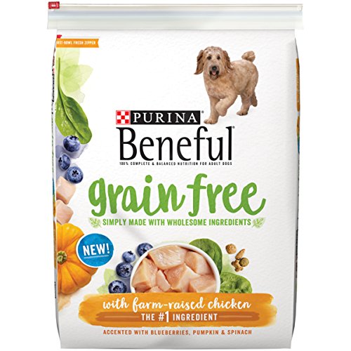 best grocery store puppy food