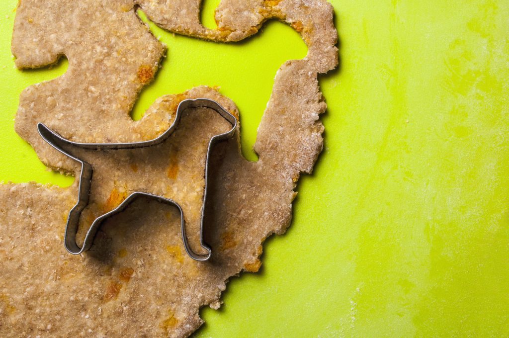homemade dog treats