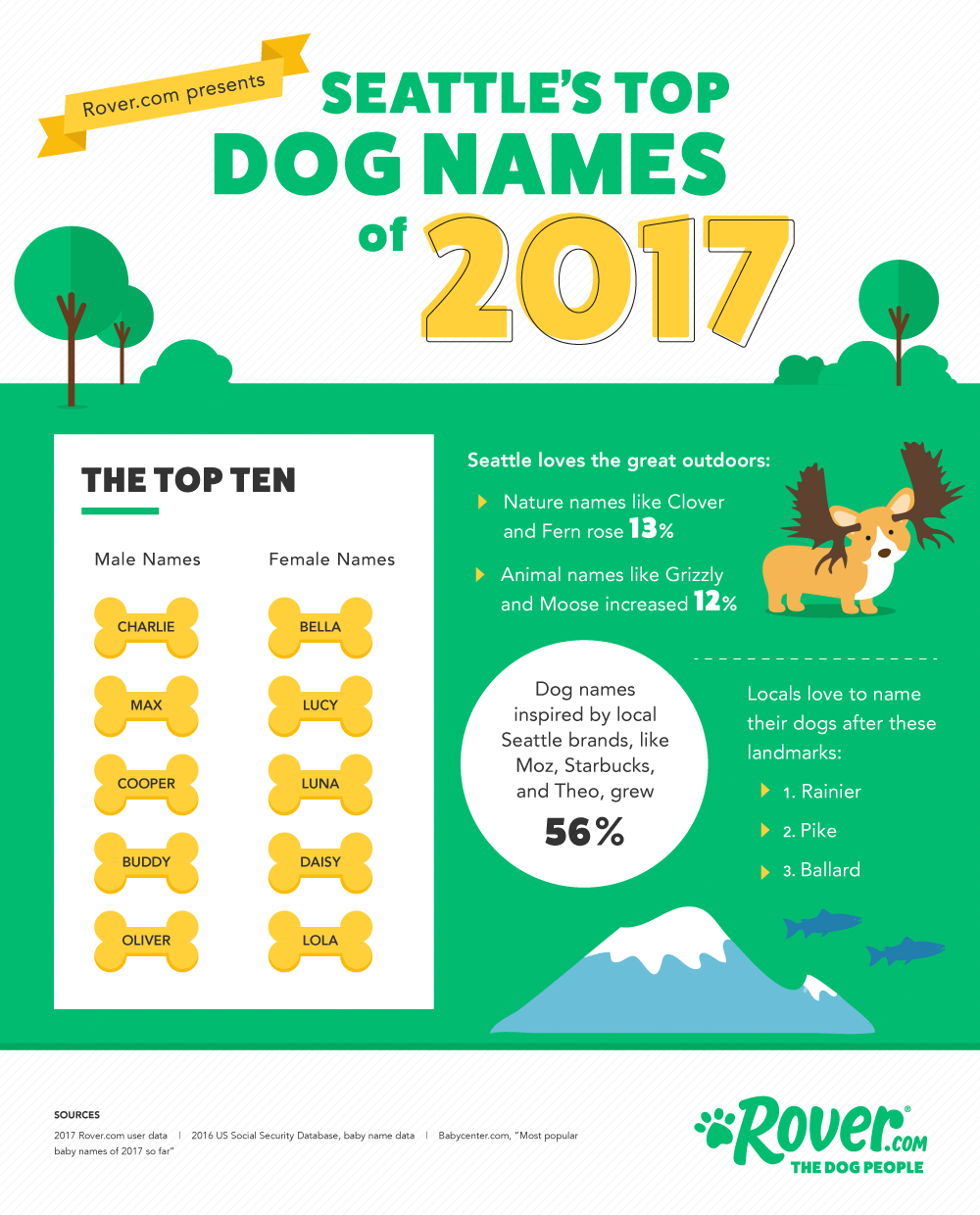 creative dog names creative dog names