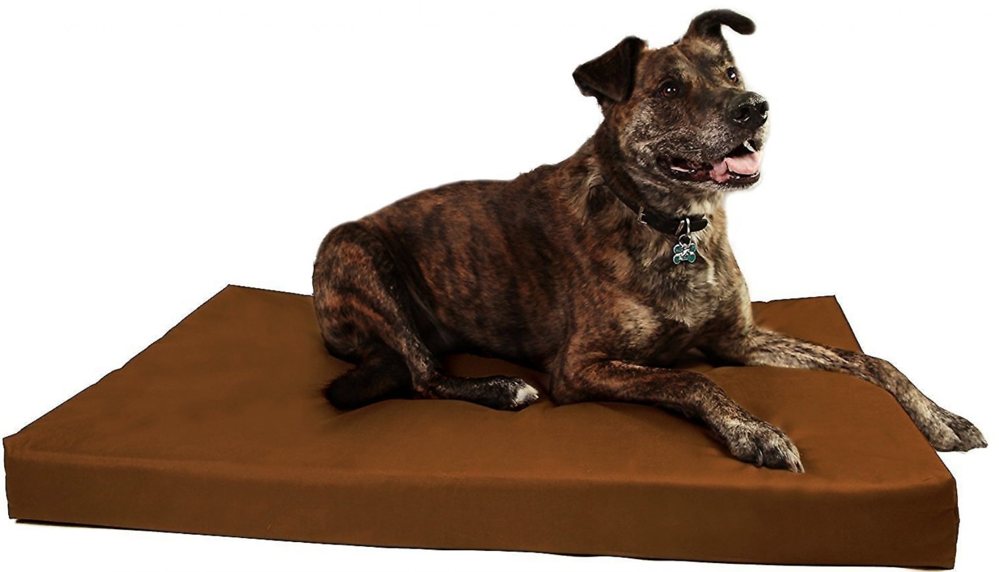 10 Indestructible Beds for Chewtastic Canines Dogs Explorer