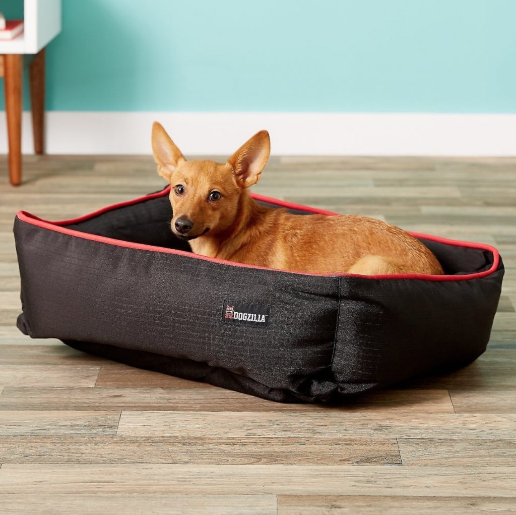 10 Indestructible Beds for Chewtastic Canines Dogs Explorer