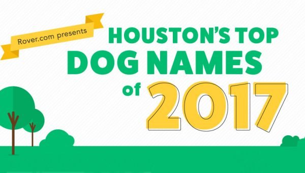 fantasy dog names fantasy dog names