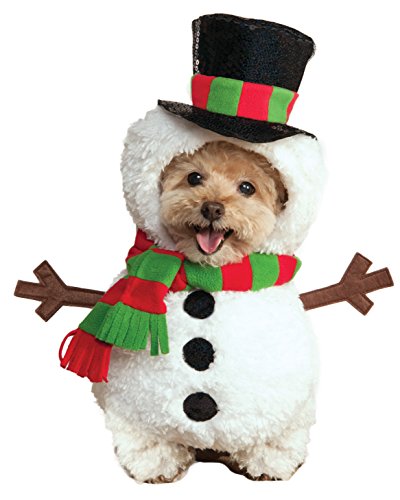 11 best christmas dog outfits to get your dog in the holiday spirit