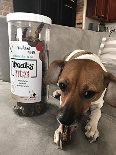 10 Organic Dog Treats We Love | The Dog People by Rover.com