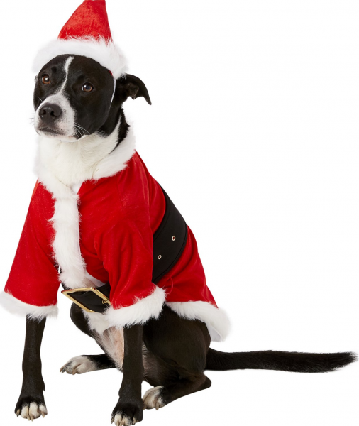 Mrs Santa Claus Big Dog Pet Christmas Holiday Costume