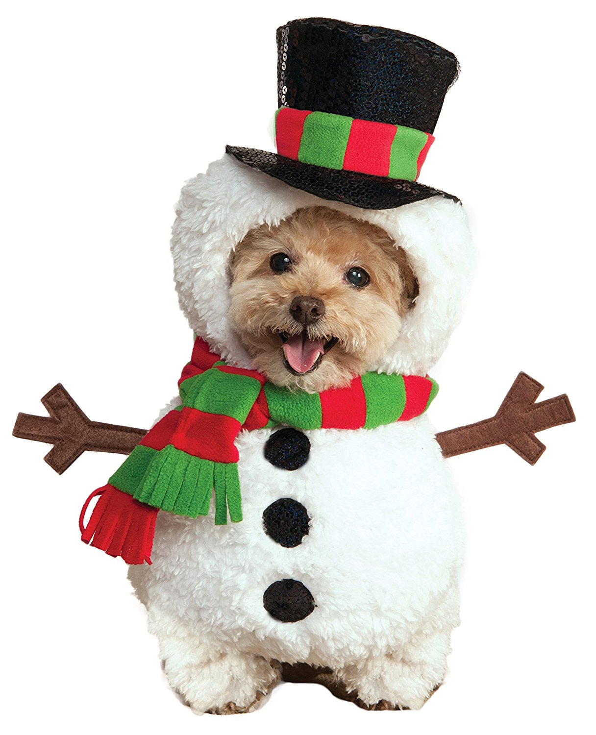 Christmas Outfits For Dogs 2023 Best Ultimate The Best Incredible ...
