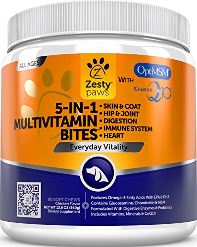 best vitamin supplements for dogs