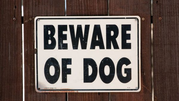 ‘Beware of Dog’ Sign Doesn’t Live Up to its Name in Hilarious Little Video