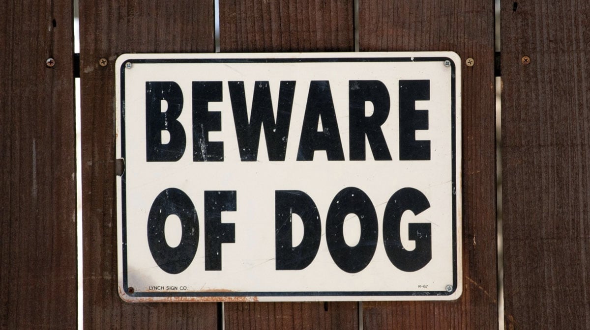 Beware of Dog Sign Doesnt Live Up to its Name in Hilarious Little Video The Dog People by Beware of Dog Sign Doesnt Live Up to its Name in Hilarious Little Video The Dog People by