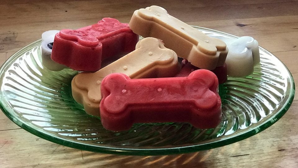 frozen yogurt, peanut butter, and strawberry dog bone treats