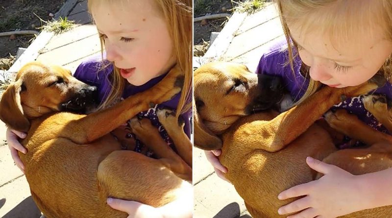 Little Girl Singing Lullaby to Her Dog is THE Sweetest Thing [Video] | The  Dog People by 
