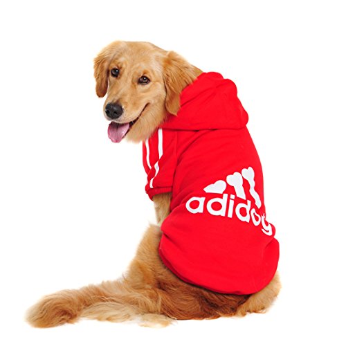 bully breed clothing for dogs