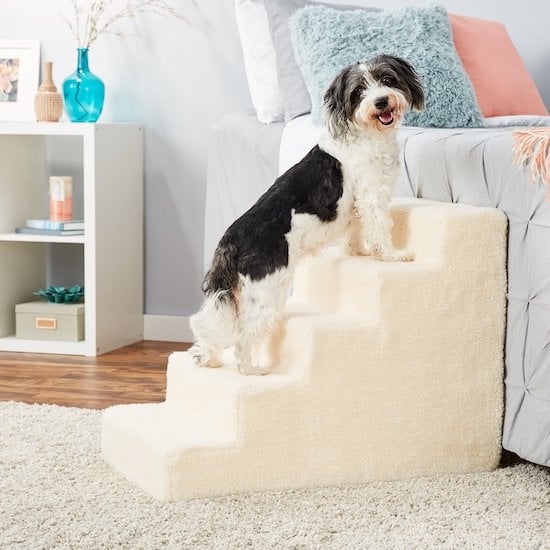 dog on foam and faux lambswool stairs
