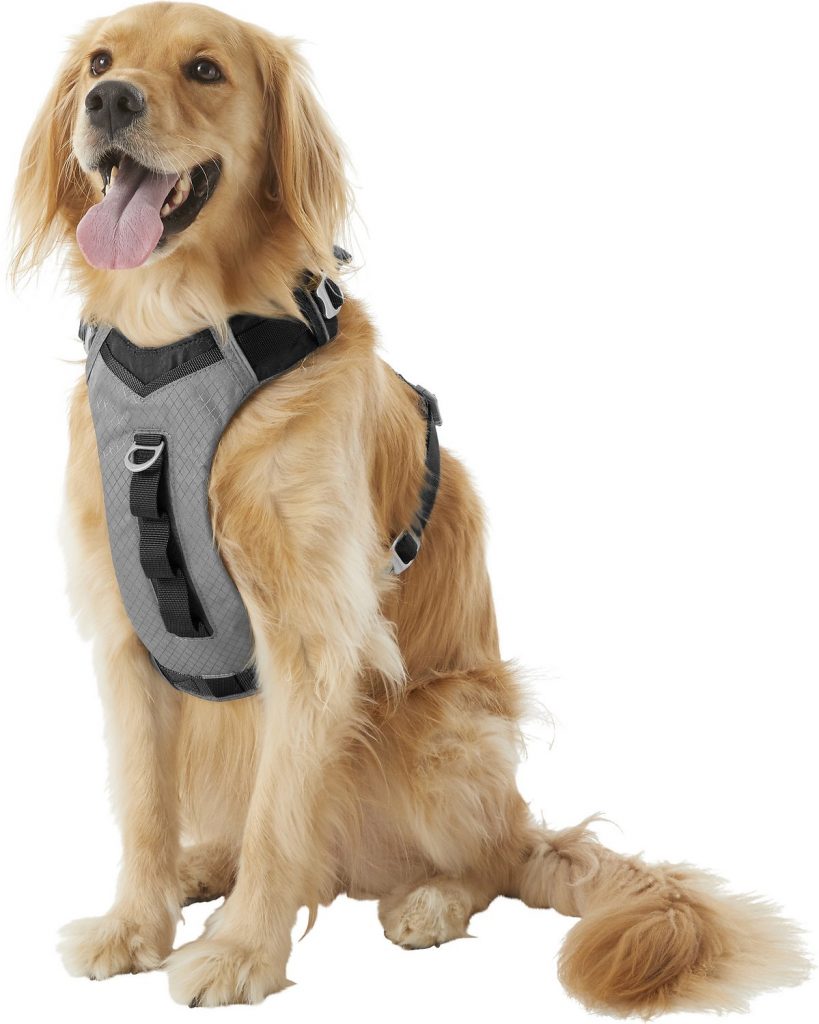 Large dog harnesses the best harnesses for large dogs