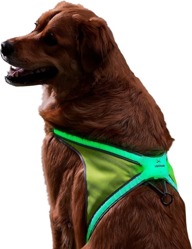durable harness for dogs