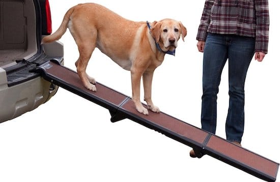 Pet Gear tri-fold pet ramp