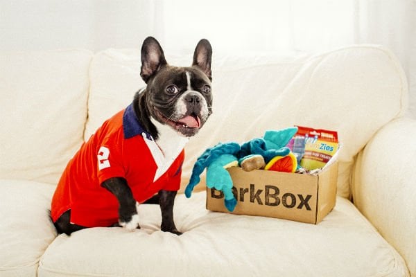 BarkBox subscription box