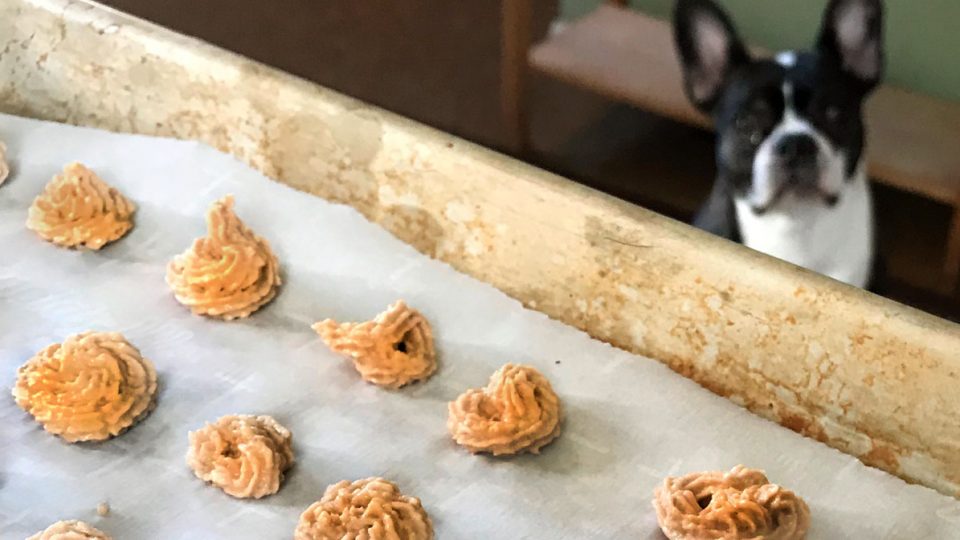 How To Make Salmon Swirl Training Treats For Dogs Recipe The Dog People By Rover Com