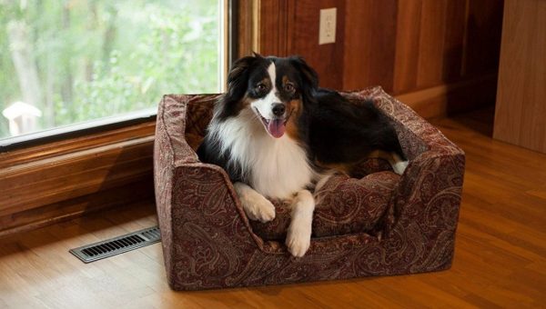 dog lounging in luxury bolstered pet bed