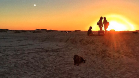 dog friendly beach in ventura at sunset